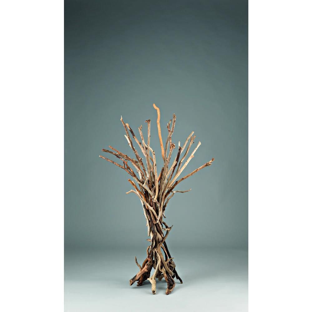 Θαλασσόξυλο